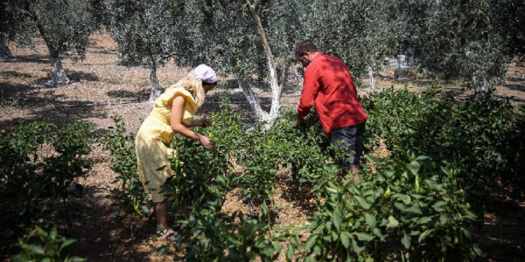 Eşiyle birlikte “Herkese olağanüstü” gelen işi yapıyor! Doğal ve katkısız üretim: Genç yaşta üretiyor, tüm Türkiye’ye satıyorlar 4